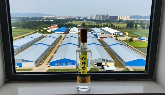 食品代加工行业储存安全升级趋势分析